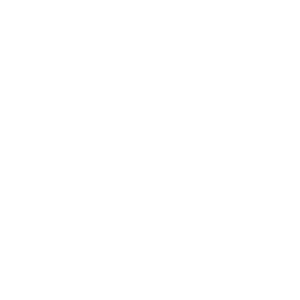 MegaVegas 500x500_white